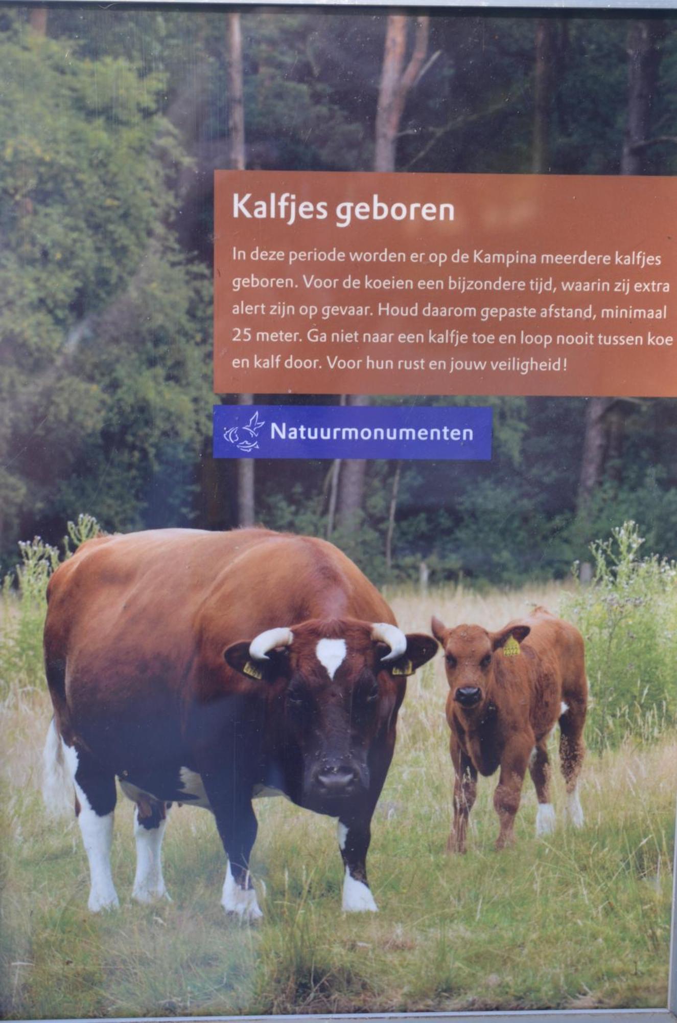 Erfgoed & Logies Den Heijkant Moergestel Quarto foto
