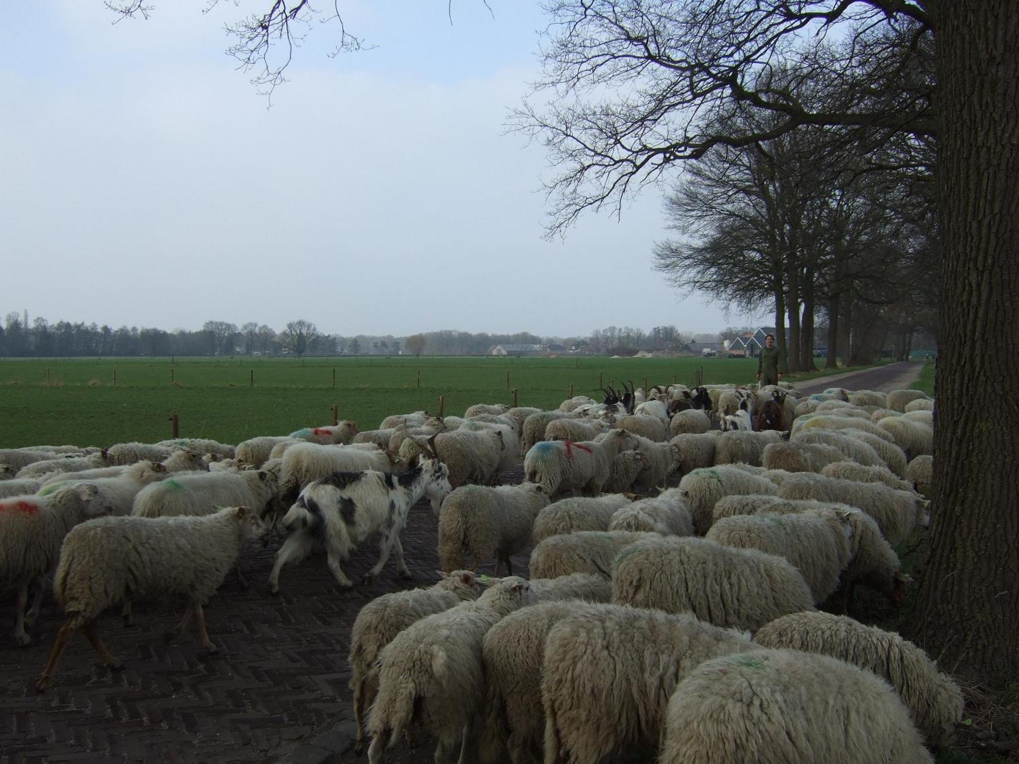 Erfgoed & Logies Den Heijkant Moergestel Quarto foto