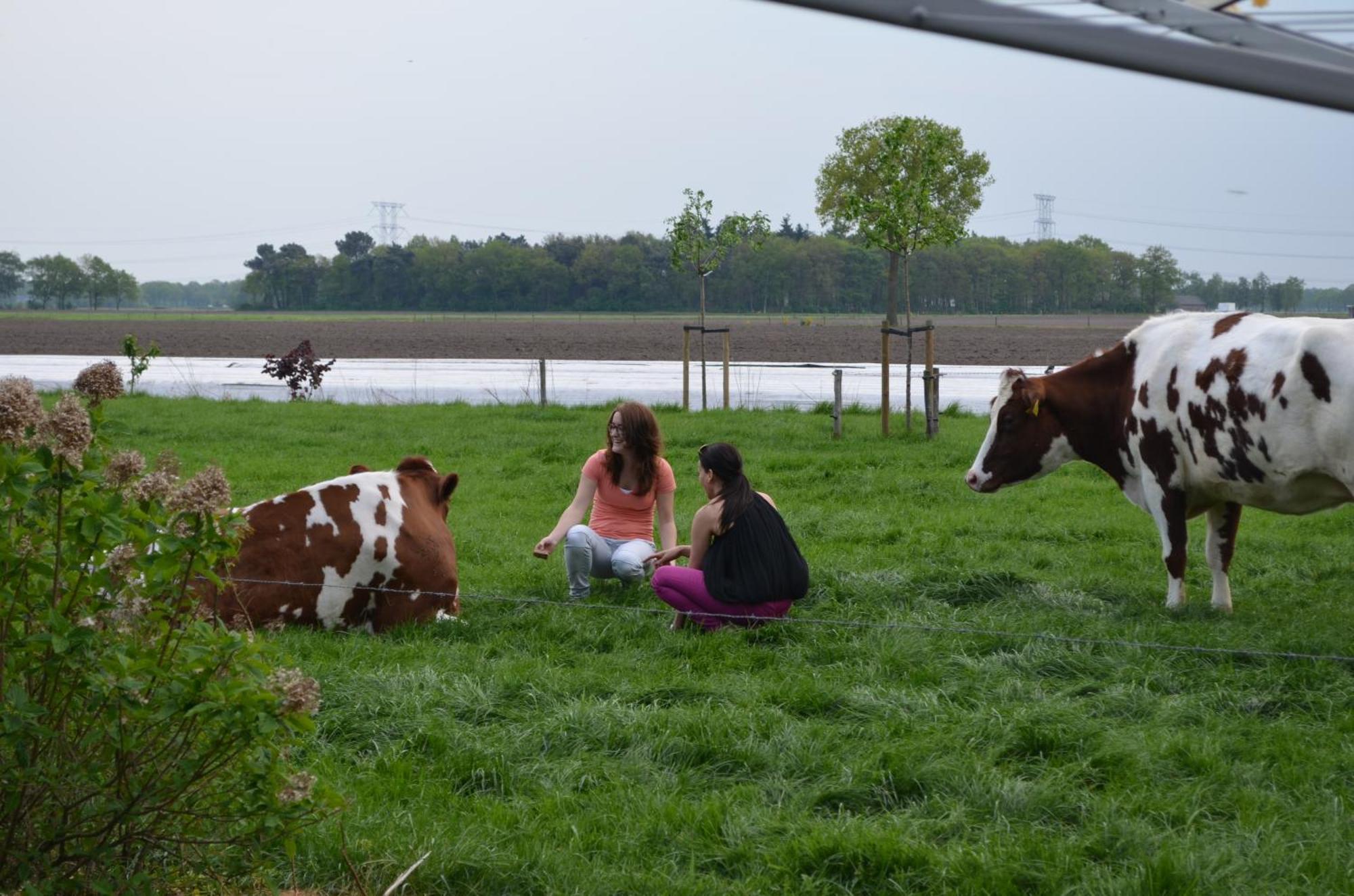 Erfgoed & Logies Den Heijkant Moergestel Quarto foto